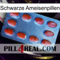 Black Ant Pills 06